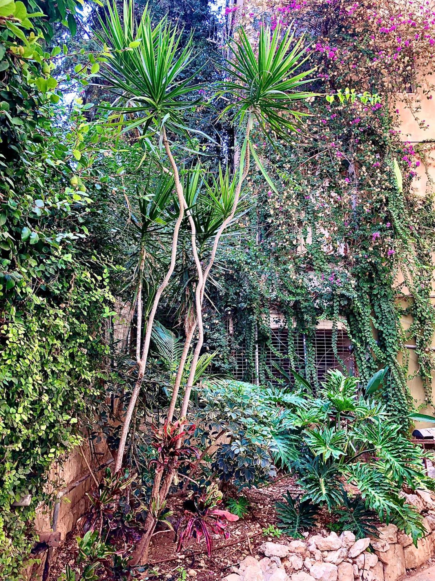 Designer With Complex & Jacuzzi Near Bahai Garden דירה חיפה